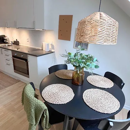 Apartmán Charmerende Taglejlighed Odense