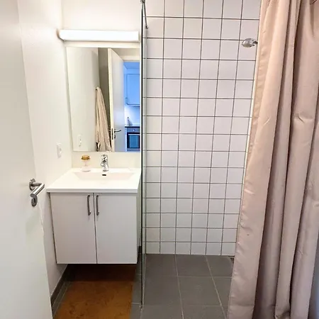 Charmerende Taglejlighed Odense